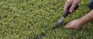 Precision edge trimming technique